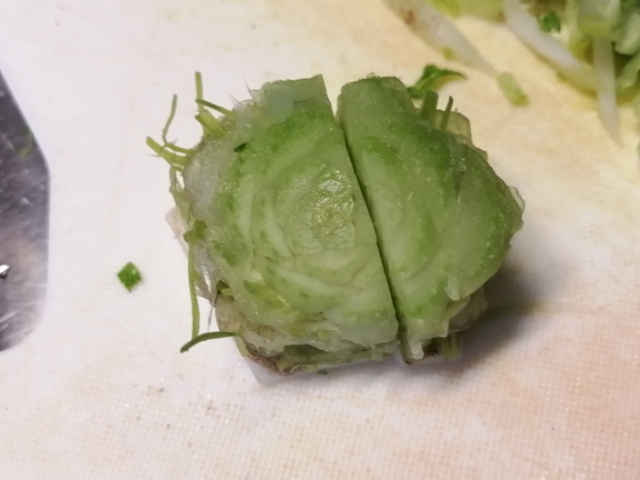 torikawareshipi-myouga