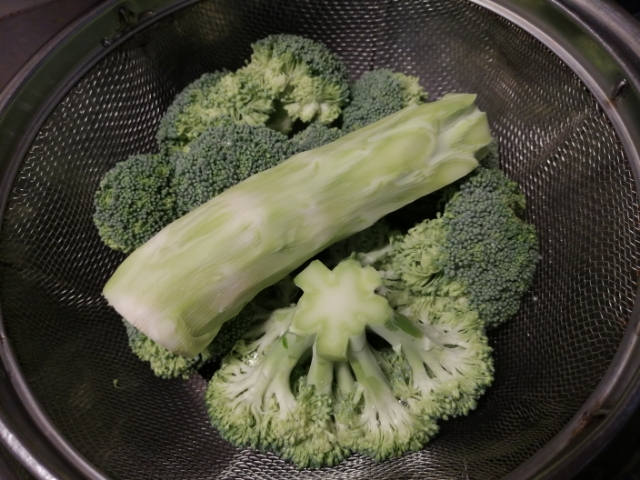 torikawareshipi-myouga