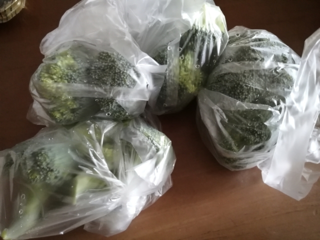 torikawareshipi-myouga