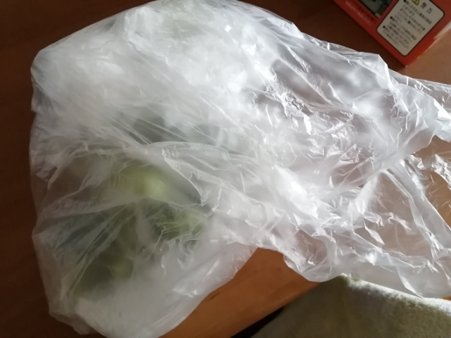 torikawareshipi-myouga